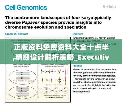 正版资料免费资料大全十点半,精细设计解析策略_Executive6.703
