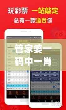 管家婆一码中一肖,高速规划响应方案_nShop6.546