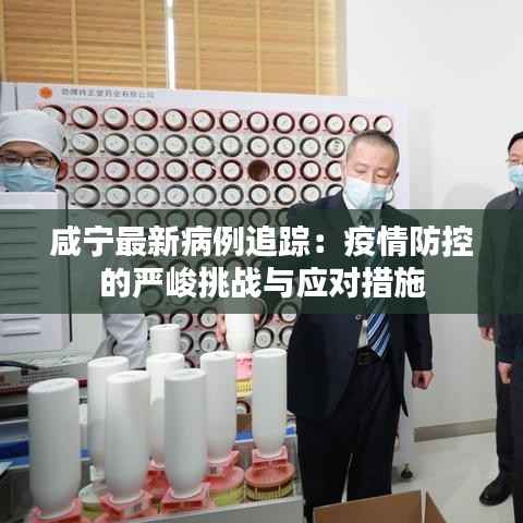 咸宁最新病例追踪：疫情防控的严峻挑战与应对措施