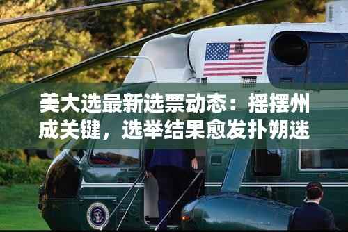 美大选最新选票动态：摇摆州成关键，选举结果愈发扑朔迷离