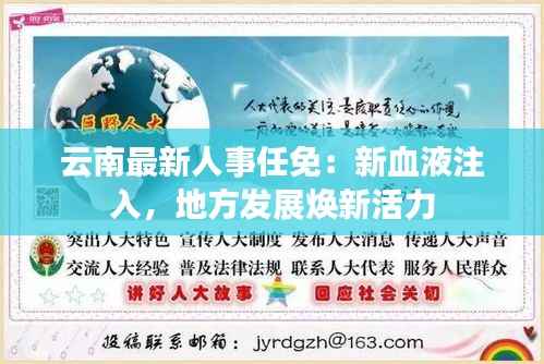 云南最新人事任免：新血液注入，地方发展焕新活力