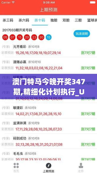澳门特马今晚开奖347期,精细化计划执行_UHD款10.666