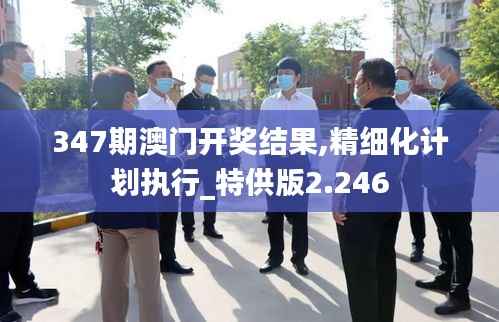 347期澳门开奖结果,精细化计划执行_特供版2.246