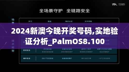 2024新澳今晚开奖号码,实地验证分析_PalmOS8.100