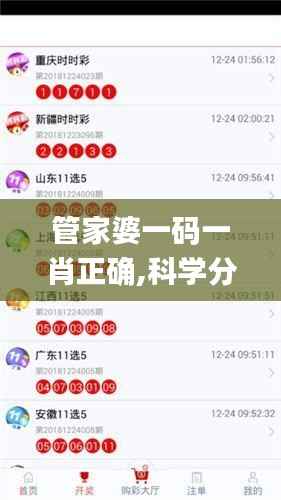 管家婆一码一肖正确,科学分析解释定义_DX版19.382