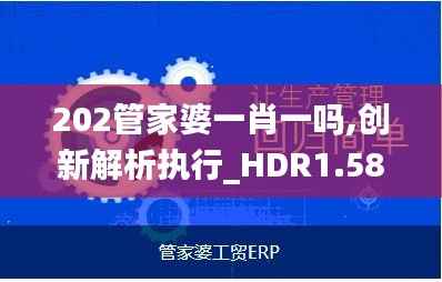 202管家婆一肖一吗,创新解析执行_HDR1.587