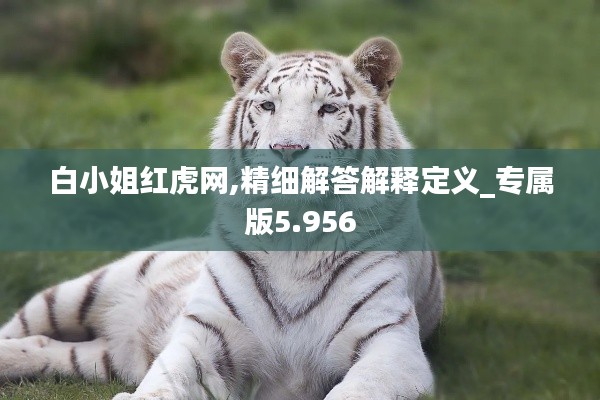 白小姐红虎网,精细解答解释定义_专属版5.956