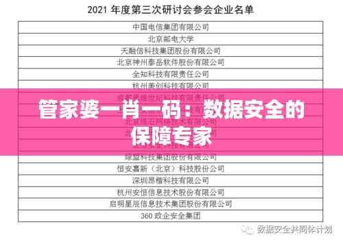 管家婆一肖一码:数据安全的保障专家