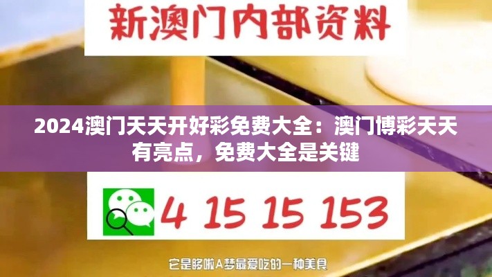 2024澳门天天开好彩免费大全：澳门博彩天天有亮点，免费大全是关键