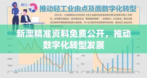 新澳精准资料免费公开，推动数字化转型发展