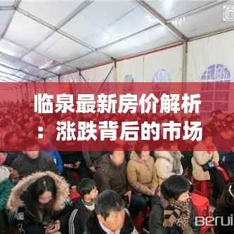 临泉最新房价解析：涨跌背后的市场逻辑