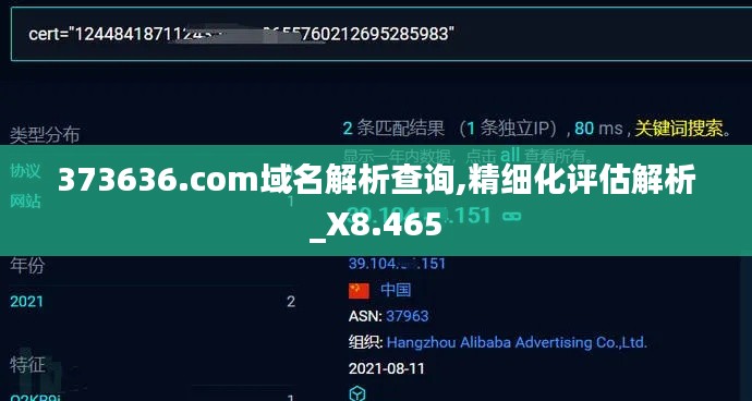 373636.com域名解析查询,精细化评估解析_X8.465