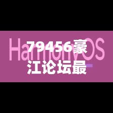 79456豪江论坛最新版本更新内容,动态分析解释定义_HarmonyOS6.846