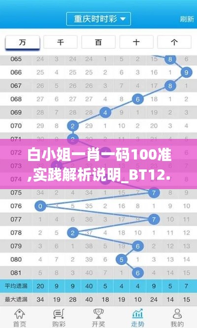 白小姐一肖一码100准,实践解析说明_BT12.931