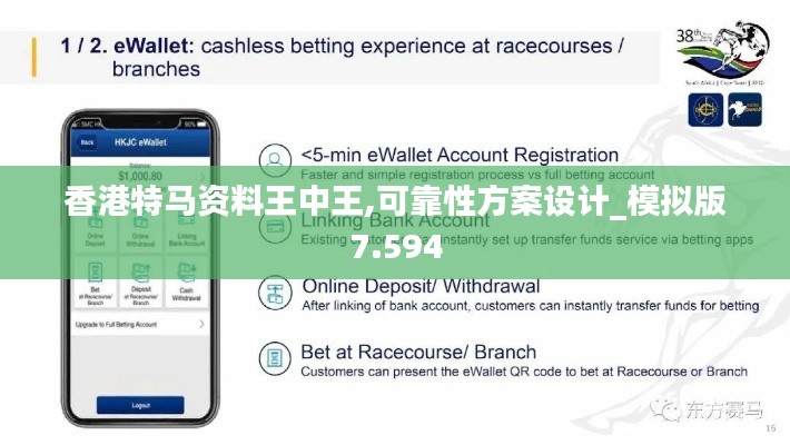 香港特马资料王中王,可靠性方案设计_模拟版7.594