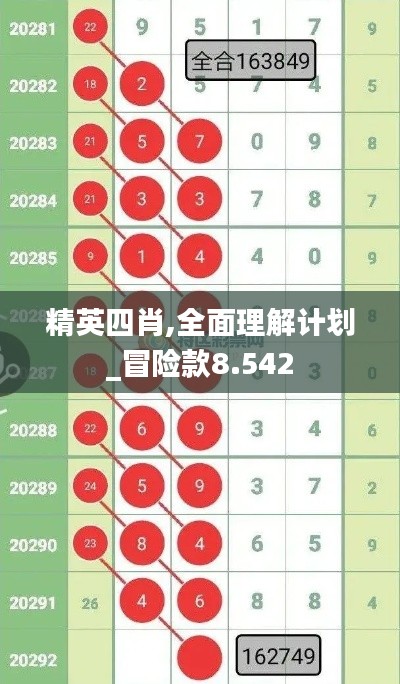 精英四肖,全面理解计划_冒险款8.542