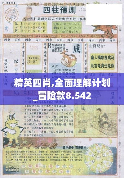 精英四肖,全面理解计划_冒险款8.542