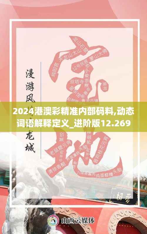 2024港澳彩精准内部码料,动态词语解释定义_进阶版12.269