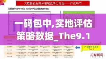 一码包中,实地评估策略数据_The9.195