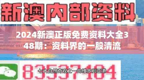 2024新澳正版免费资料大全348期：资料界的一股清流