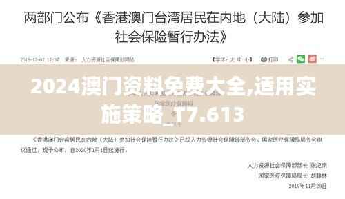 2024澳门资料免费大全,适用实施策略_T7.613