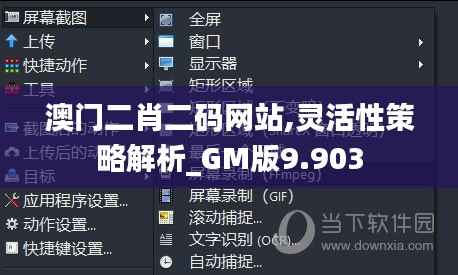 澳门二肖二码网站,灵活性策略解析_GM版9.903