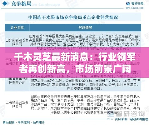 千木灵芝最新消息：行业领军者再创新高，市场前景广阔