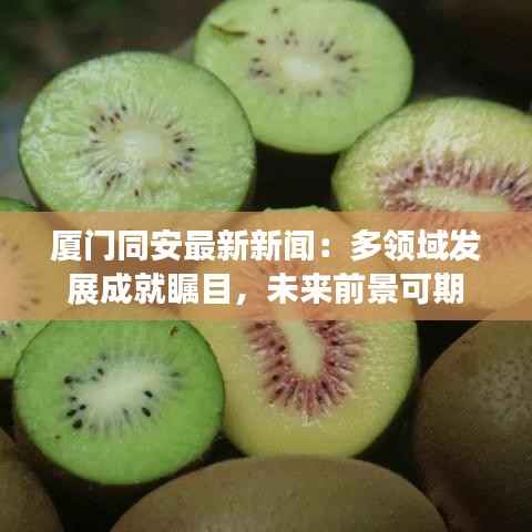 厦门同安最新新闻：多领域发展成就瞩目，未来前景可期