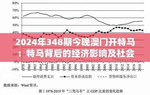 2024年348期今晚澳门开特马:特马背后的经济影响及社会问题