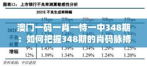 澳门一码一肖一恃一中348期：如何把握348期的肖码脉搏
