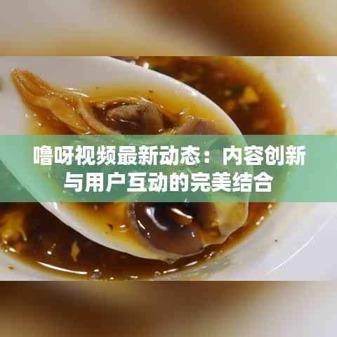 噜呀视频最新动态:内容创新与用户互动的完美结合