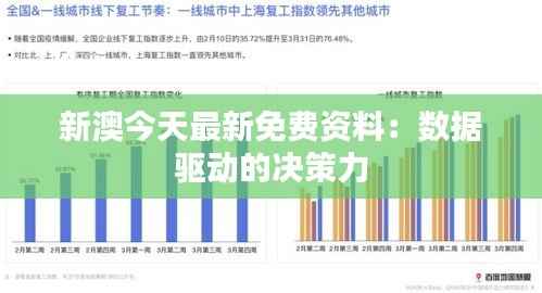 新澳今天最新免费资料：数据驱动的决策力