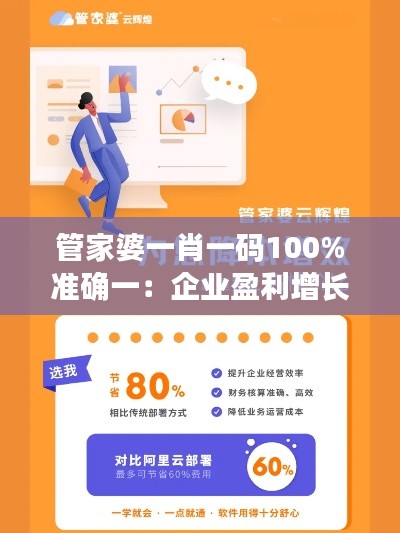 管家婆一肖一码100%准确一：企业盈利增长的加速器