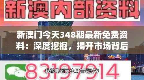 新澳门今天348期最新免费资料:深度挖掘,揭开市场背后的秘密