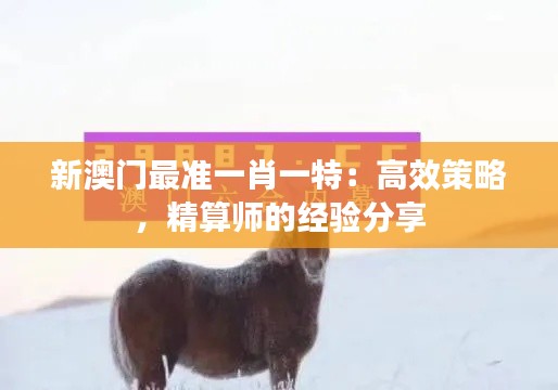 新澳门最准一肖一特：高效策略，精算师的经验分享