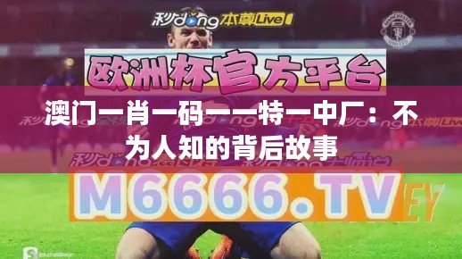 澳门一肖一码一一特一中厂：不为人知的背后故事
