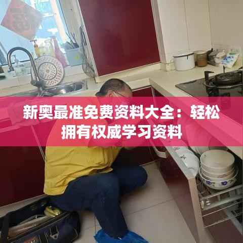 新奥最准免费资料大全:轻松拥有权威学习资料