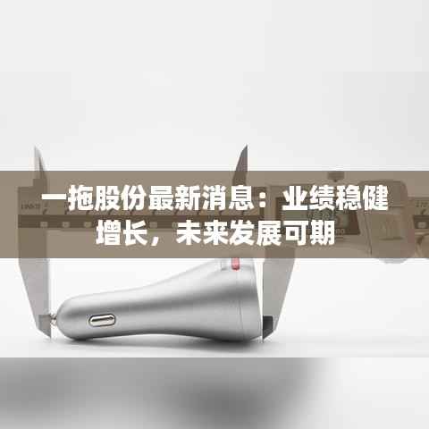 坌鸟先飞 第6页