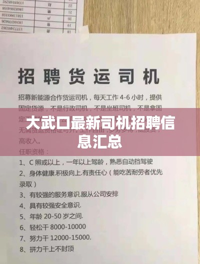 大武口最新司机招聘信息汇总