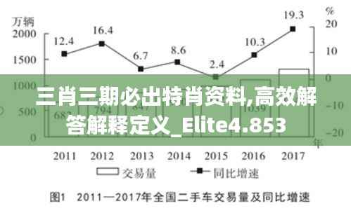 三肖三期必出特肖资料,高效解答解释定义_Elite4.853
