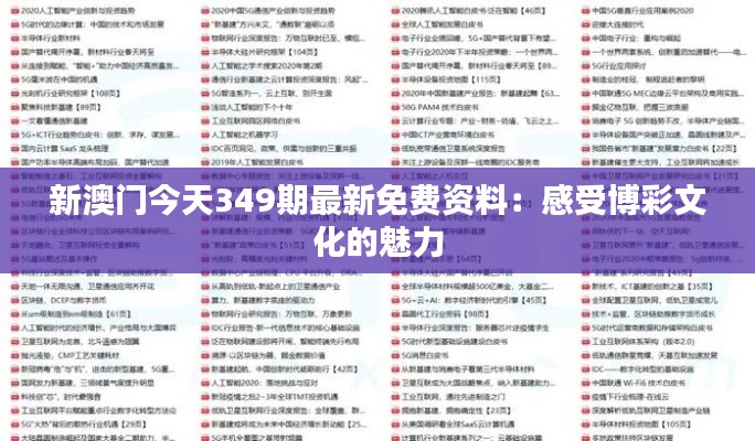 新澳门今天349期最新免费资料：感受博彩文化的魅力