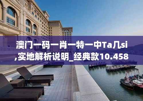 澳门一码一肖一特一中Ta几si,实地解析说明_经典款10.458