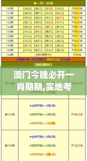 澳门今晚必开一肖期期,实地考察分析_suite5.534