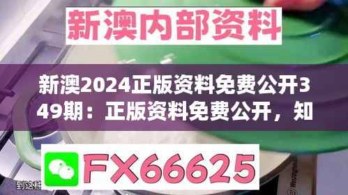 新澳2024正版资料免费公开349期:正版资料免费公开,知识的平等化进程