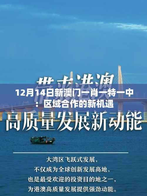 12月14日新澳门一肖一特一中：区域合作的新机遇