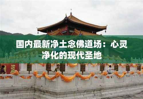 国内最新净土念佛道场：心灵净化的现代圣地