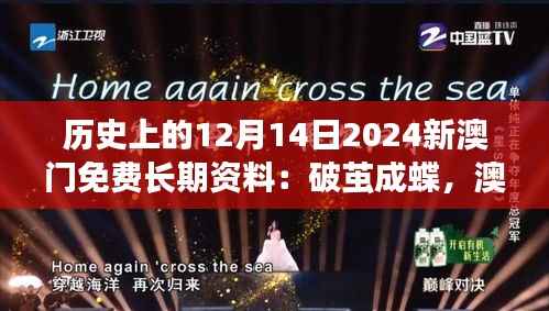 历史上的12月14日2024新澳门免费长期资料：破茧成蝶，澳门的自我重塑