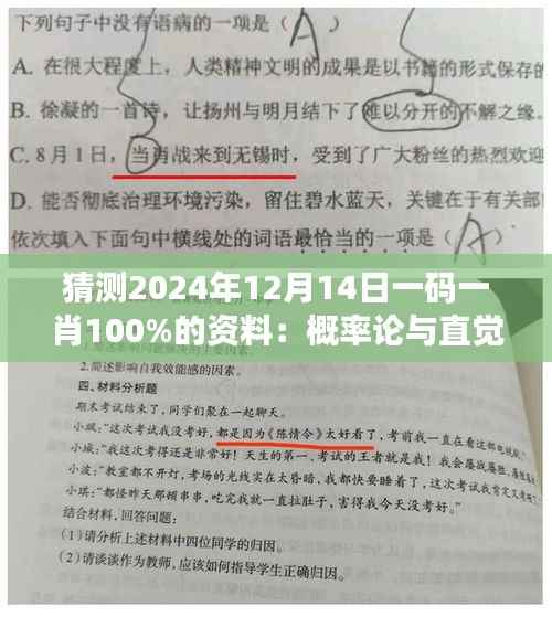 猜测2024年12月14日一码一肖100%的资料：概率论与直觉的对决