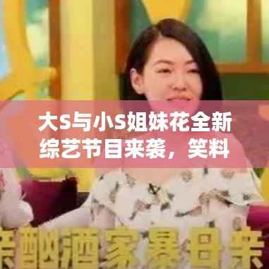大S与小S姐妹花全新综艺节目来袭,笑料不断,温馨感人!