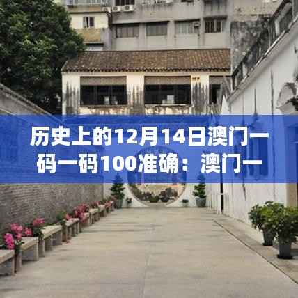 历史上的12月14日澳门一码一码100准确：澳门一码一码百年，见证历史的辉煌